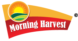 Morning Harvest-WebLogo